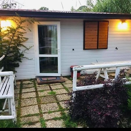 Oasi Di Francesca B&B Понтиния Экстерьер фото