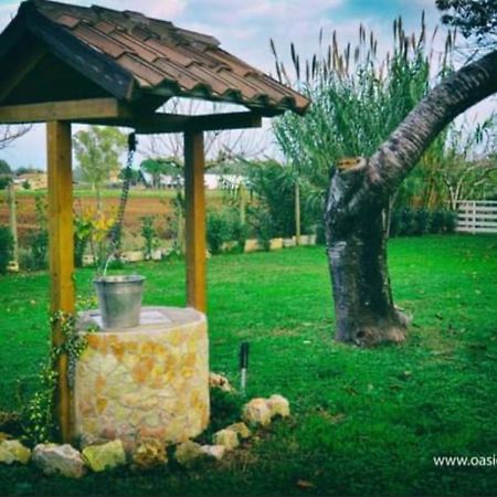 Oasi Di Francesca B&B Понтиния Экстерьер фото