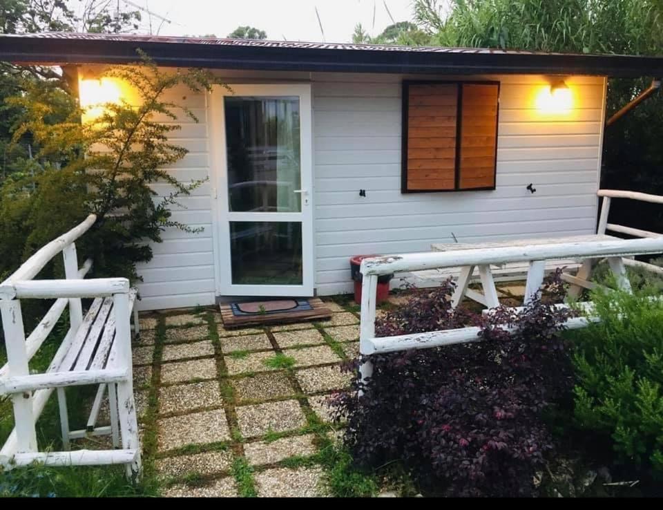 Oasi Di Francesca B&B Понтиния Экстерьер фото