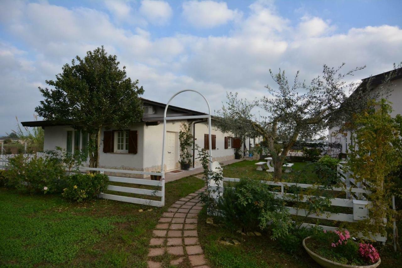 Oasi Di Francesca B&B Понтиния Экстерьер фото